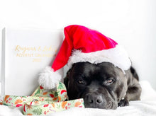 Load image into Gallery viewer, Aunty Em's X Pawty Co Advent Calendars - Pre-Order Ships November 2023