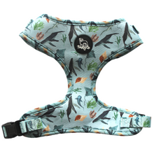 Load image into Gallery viewer, Adjustable Harness- Feeling Nauti