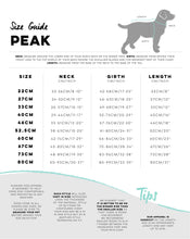 Load image into Gallery viewer, Huskimo Raincoat Peak - Dusty Pink