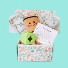 Load image into Gallery viewer, Pawty Box - Your one stop dog box!