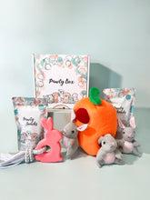 Load image into Gallery viewer, Pawty Box - Your one stop dog box!