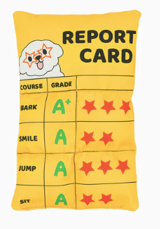 Report Card Dog Toy