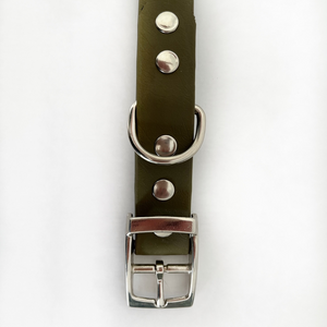 Biothane Collar With Buckle