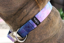 Load image into Gallery viewer, The &#39;Northern Lights&#39; Lead &amp; Collar Set
