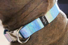 Load image into Gallery viewer, The &#39;Opal&#39; Lead &amp; Collar Set
