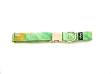 Load image into Gallery viewer, The &#39;Emerald Isle&#39; Lead &amp; Collar Set

