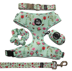 Adventure Pack- Wildflower in Mint