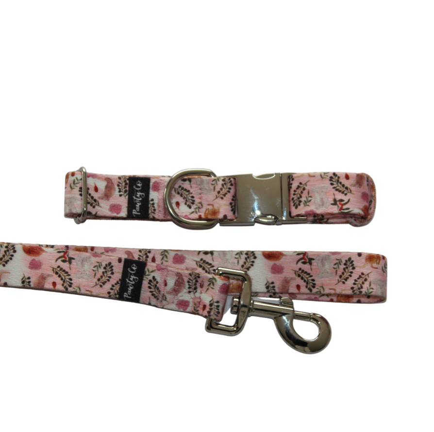 The 'Bush Friends' Lead & Collar Set