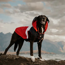 Load image into Gallery viewer, Huskimo Hoodie Mt Buller - Navy Red
